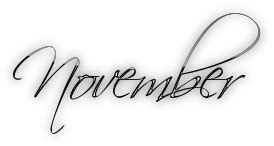 November Hd Text Logo PNG Transparent Background 274x146px - Filesize: 22910kb - TransparentPNG