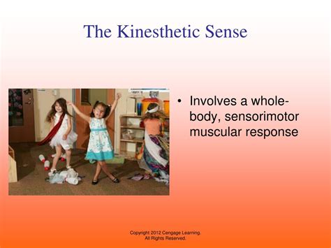 Ppt Sensory Experiences Powerpoint Presentation Free Download Id