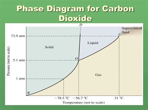 Phase Diagram Of Carbon Dioxide Lab Carbon Dioxide Temperatu