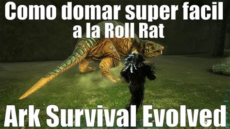 Como Domar Super Facil A La Roto Rata O Roll Rat Mas Info Del Canal