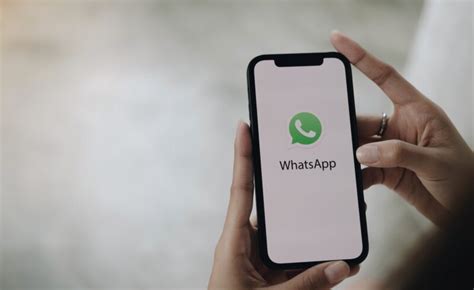 WhatsApp começa a liberar uso de mesma conta em dois celulares Rede