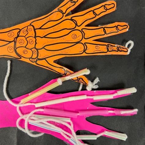 Designing A Prosthetic Hand An Engaging Stem Challenge For Anatomy