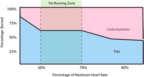 Intermediate Exercise The Fat Burning Zone Houston Weight Loss Center