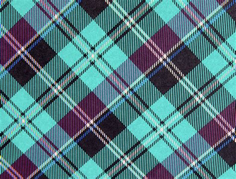 Teal And Purple Plaid Photograph By Perry Correll Fine Art America