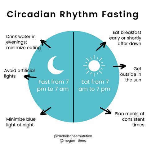 Connecting With Your Circadian Rhythm Rachel Scheer Nutrition