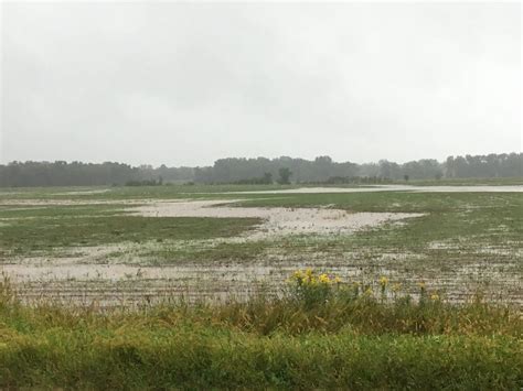 2019 To Go Down As One Of Wettest Years In Wisconsin History Tchdailynews