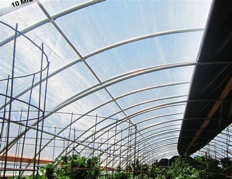 10mil Clear 4 Year Reinforced Greenhouse Cover - Gothic Arch ...