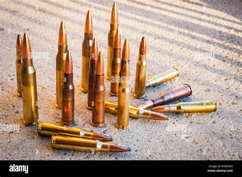 Various types and sizes of rifle Ammunition on concrete Stock Photo - Alamy