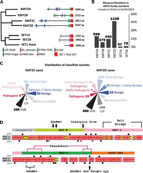 Frontiers Deep Computational Phenotyping Of Genomic Variants