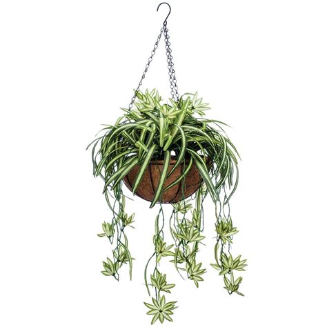 Oakridge Fully Assembled Artificial Spider Hanging Basket