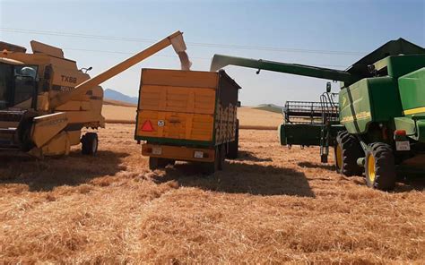 El Sector De Cultivos Herbáceos Insta A La Ce A Revisar Los