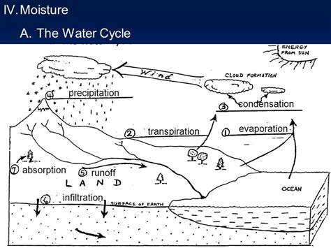 Water Cycle With Transpiration Precipitation Condensation Evaporation