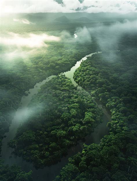 2,569 Amazon Rainforest Aerial View Stock Photos - Free & Royalty-Free ...