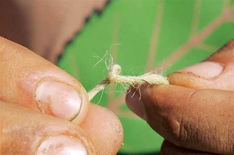 Cordage Making Natural Rope Bushcraft Skills Off Grid Living Bushcraft