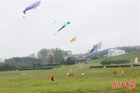 「箏」奇鬥豔，花式風箏飛上武漢天空 每日頭條