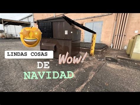 DUMPSTER DIVING LINDAS COSAS DE NAVIDAD Dumpsterdiving