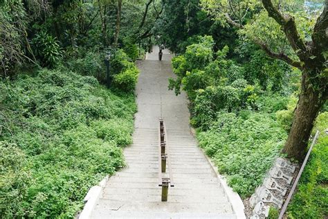 【南投埔里免費景點推薦】台灣旅遊極中點 高空步道觀景平台 臺灣地理中心碑 東蛙池塘 Dong Wa