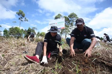 Inilah Peran Aktif Bri Dalam Mendukung Pemulihan Ekosistem Guna