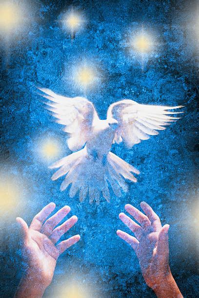 Holy Spirit Dove Stock Photos Pictures And Royalty Free Images Istock