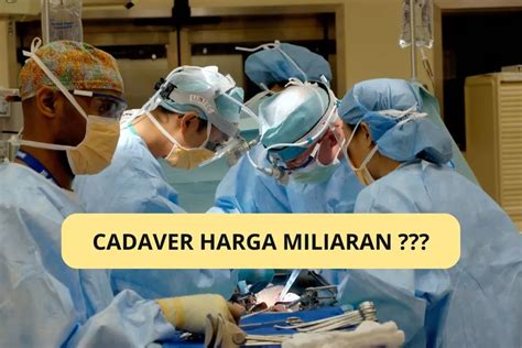 Cadaver Artinya Apa Ini Arti Istilah Yang Viral Usai Penemuan 5 Mayat