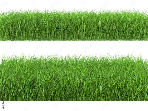 green grass side view Stock Photo | Adobe Stock