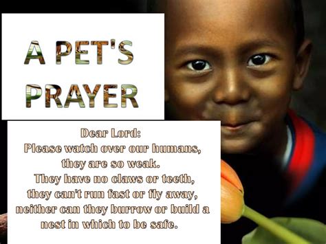 A Pets Prayer Ppt