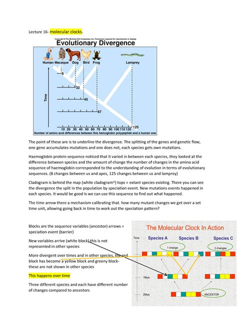 Lecture Molecular Clocks Warning Tt Undefined Function