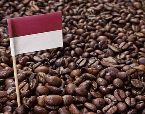 Jenis Kopi Lokal Asli Indonesia Yang Sukses Mendunia Macam Macam Kopi