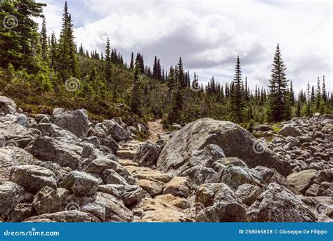 Hike To The Overlord Glacier Lookout Point Near Whistler In Canada