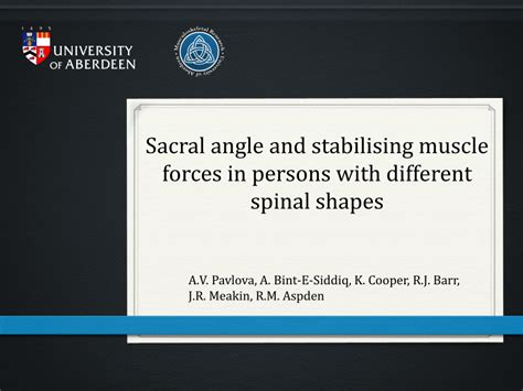sacral angle  stabilising muscle forces  persons