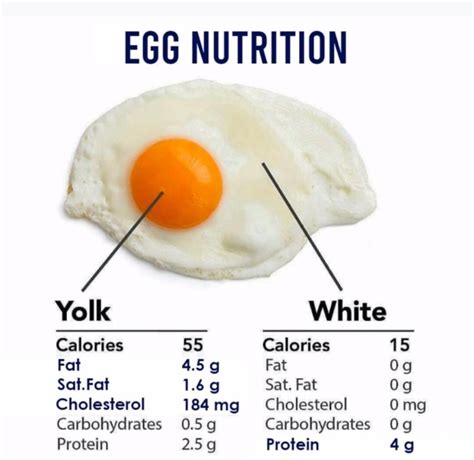 Egg Protein Chart How Many Proteins Does Egg Contain Artofit