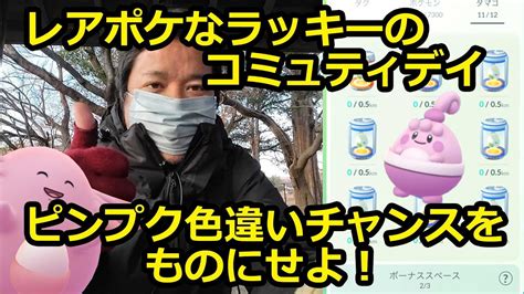 【ポケモンgo】レアポケなラッキーのコミュニティデイ！9連でピンプクの色違いを狙う！ Youtube