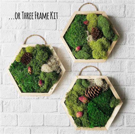 DIY Craft Kit Moss Art Craft 5x5 Hexagon Moss Home decor | Etsy