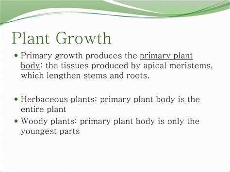 Plant Structure Growth And Development Ppt Download