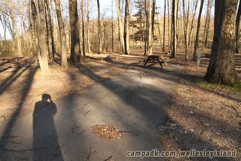 Wellesley Island State Park Campsite Photos Area Loop C Coyote