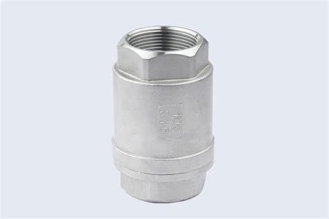 China Stainless Steel Spring Check Valve Manufacturers, Stainless Steel ...