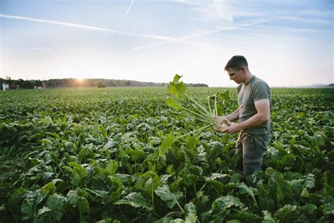 Assurance Exploitation Multirisque Agricole Th Lem Assurances