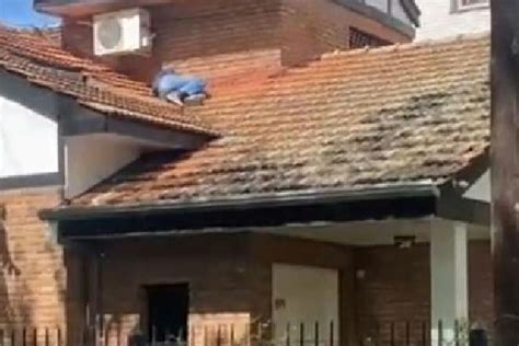 Volvi De Una Fiesta Se Qued Dormido En El Techo De La Casa De Un