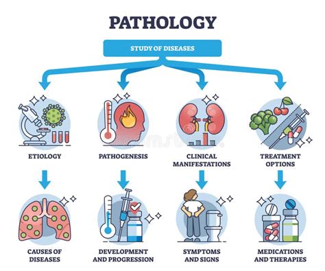 O Que Estuda A Patologia - Patologia E Estudo De Doenças No Campo Médico Diagrama Esquemático ...