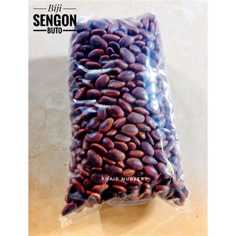 Jual Biji Sengon Buto Kg Shopee Indonesia