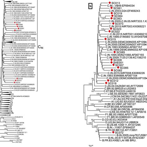 Maximum Likelihood Phylogenetic Trees Of Hiv 1 Sequences From