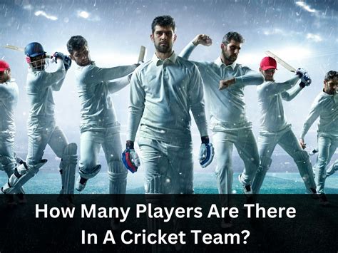 How Many Players Are There In A Cricket Team?