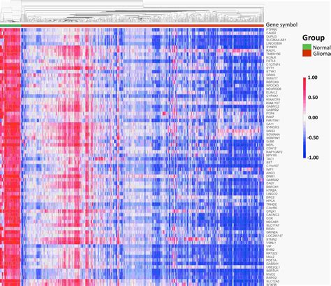 Comprehensive Bioinformatic Analysis Of Key Genes And Signaling