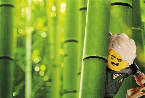 Download Lloyd Garmadon Bamboo Lego Movie The Lego Ninjago Movie Hd