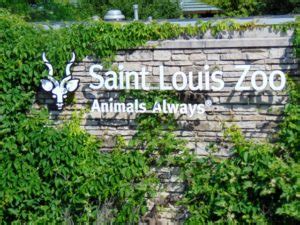 St. Louis Zoo - The Zoo Review