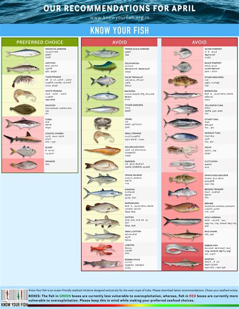 Know Your Fish On Twitter Our Seafood Recommendations For April Are