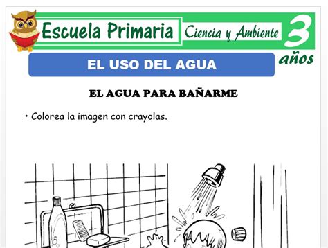 Uso del agua para Niños de 3 Años Escuela Primaria