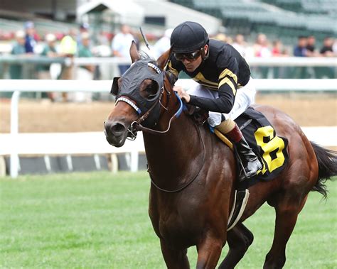 Handicappers explain how a drf result influences future betting lines 5