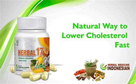 Natural Way To Lower Cholesterol Fast PT Ben Sehat Sejahtera