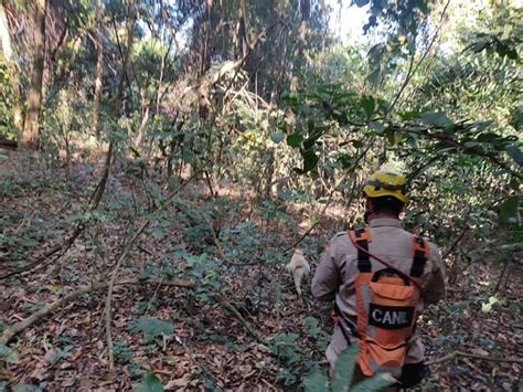 Corpo De Idoso Desaparecido Encontrado Por C Es Farejadores Em Go